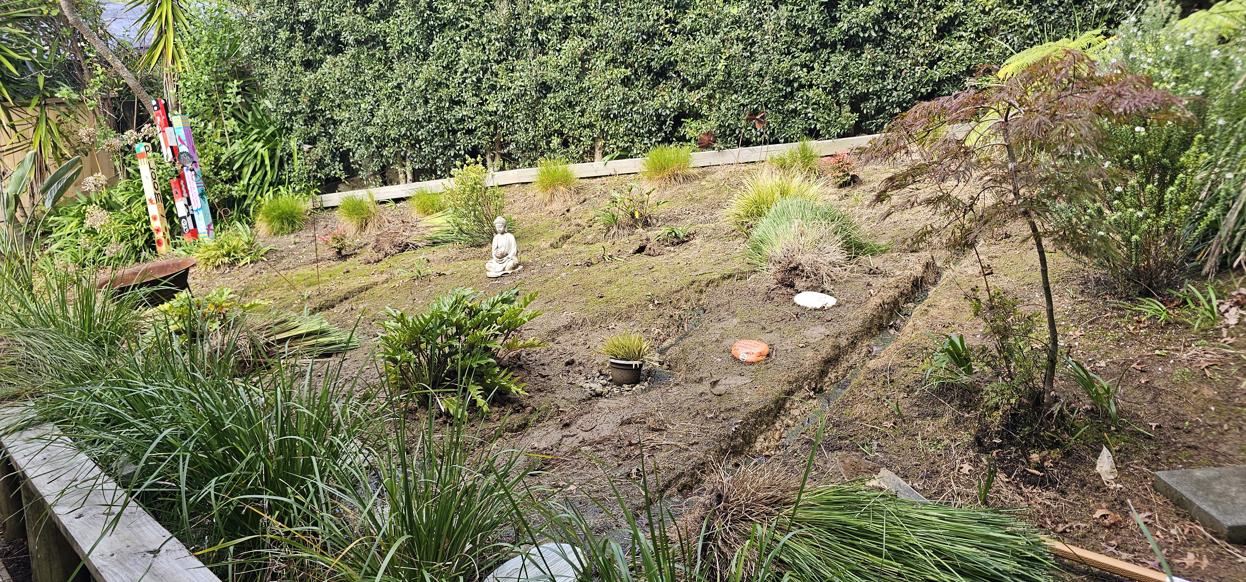 Garden maintenance project