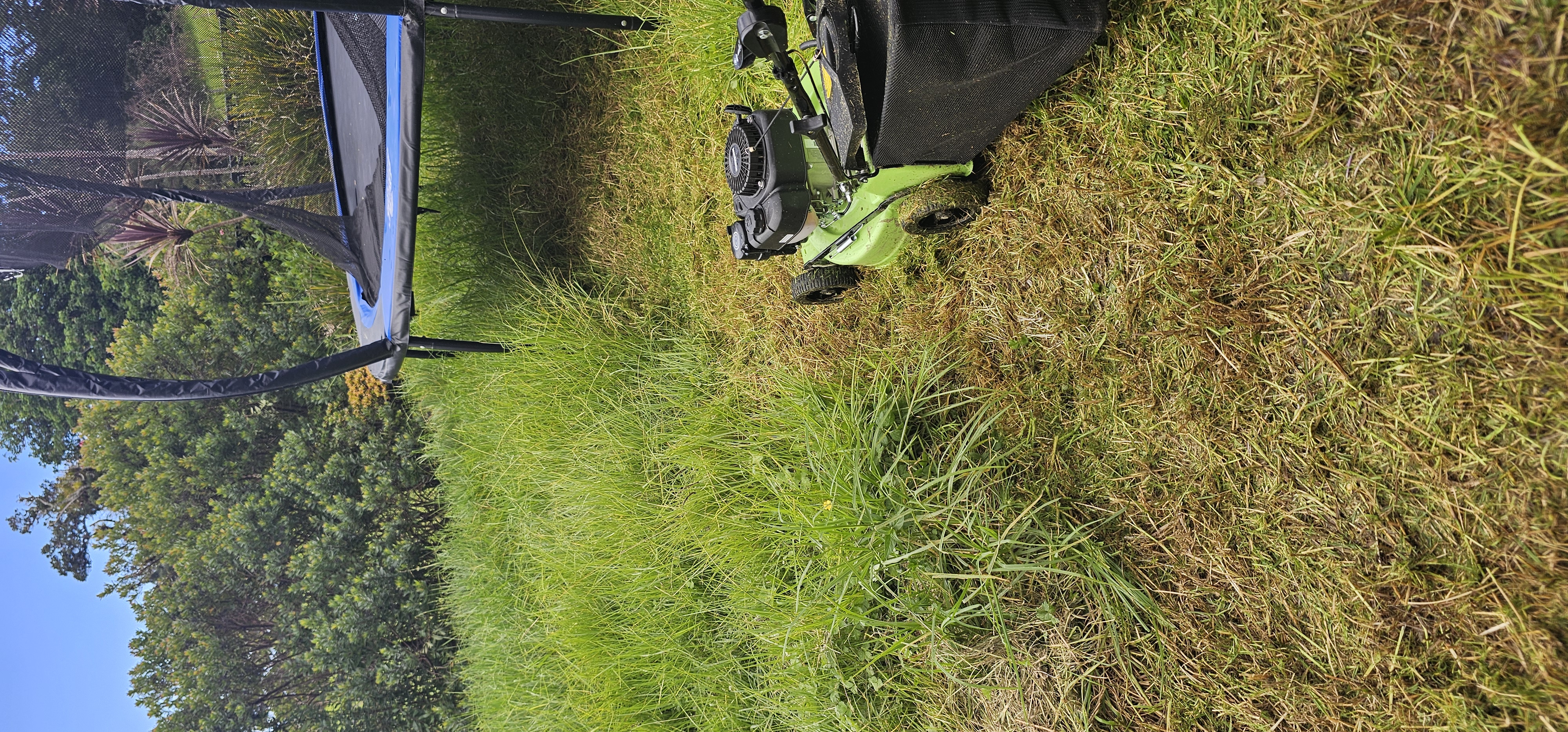 Hedge trimming service