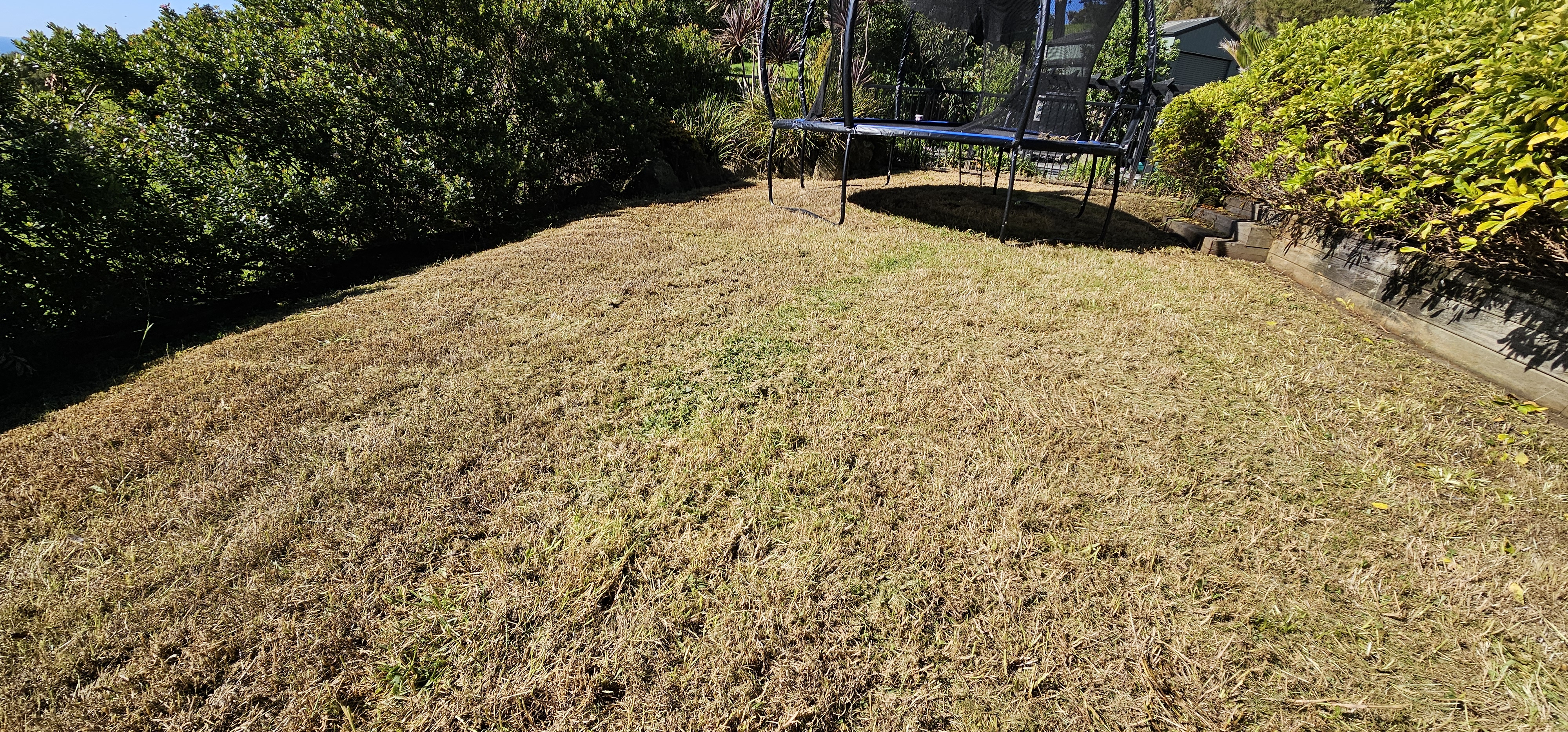 Outdoor cleanup project