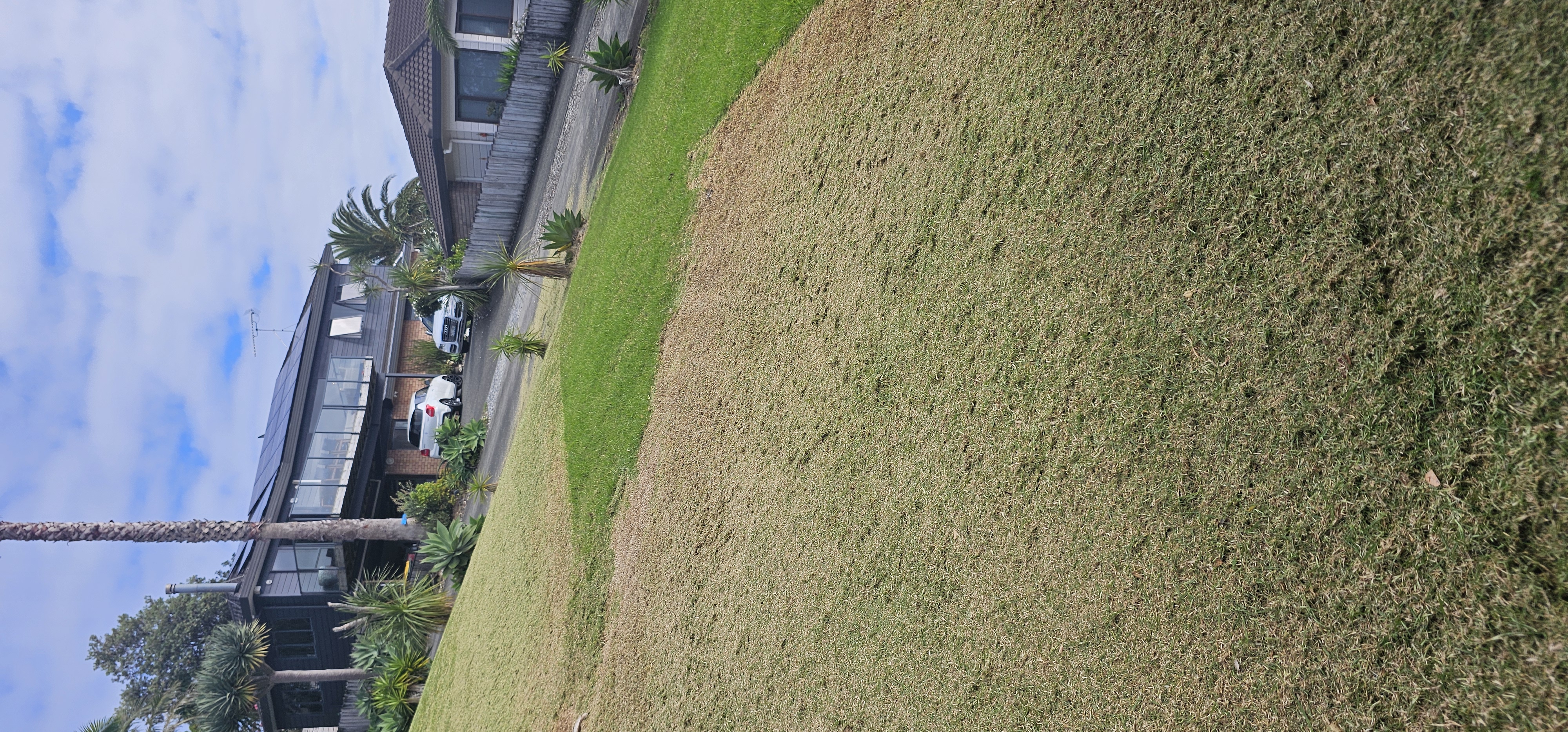 Lawn care project